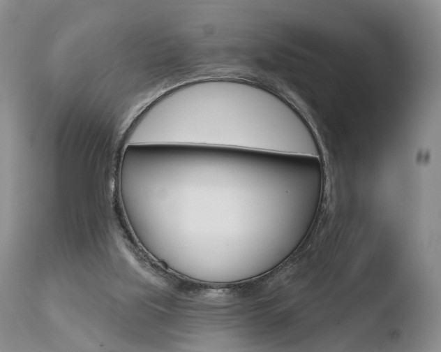X0000110760059200906150939