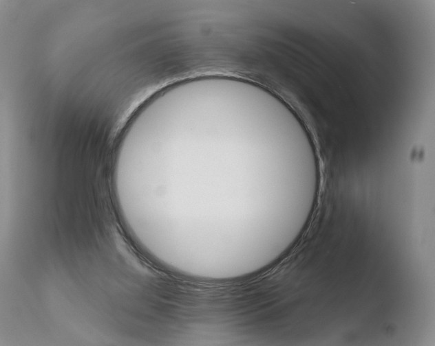 X0000110760060200906150939