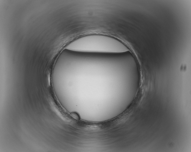 X0000110760061200906150939