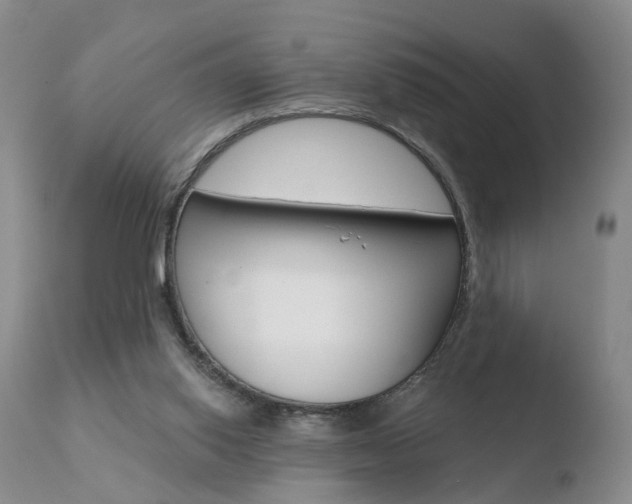 X0000110760062200906150940