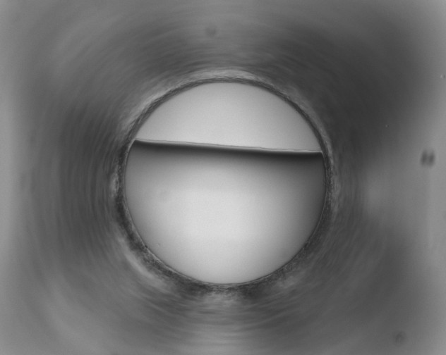 X0000110760063200906150940