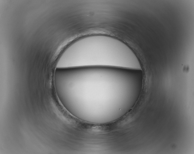 X0000110760064200906150940