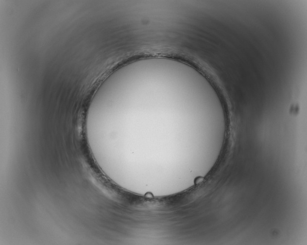 X0000110760065200906150940