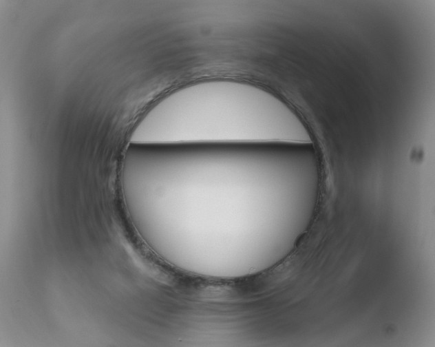 X0000110760066200906150940
