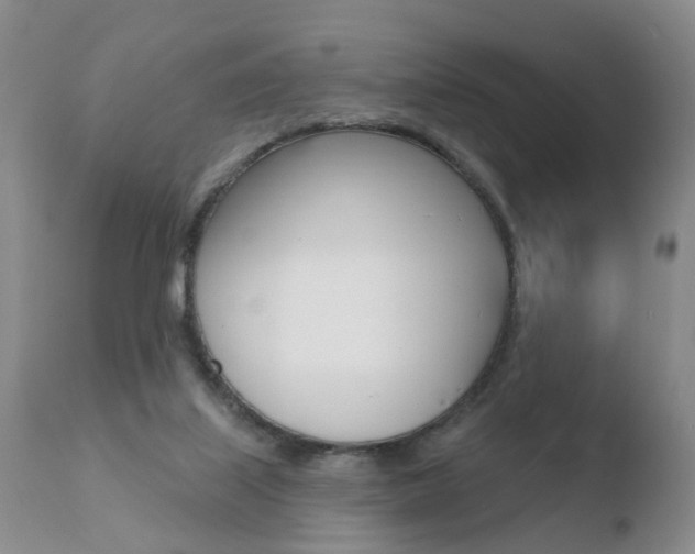 X0000110760067200906150940