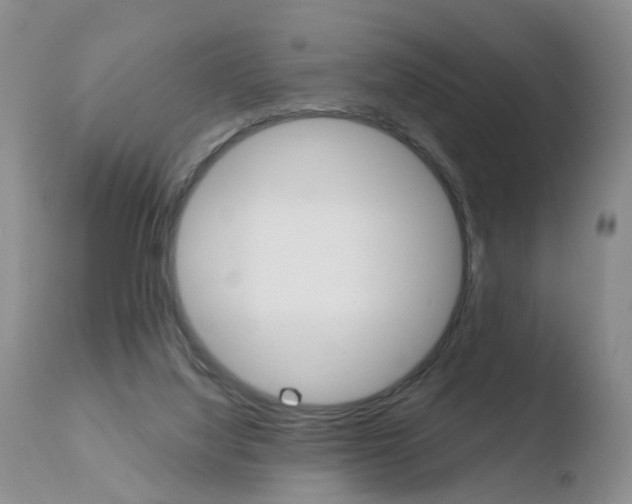 X0000110760068200906150940
