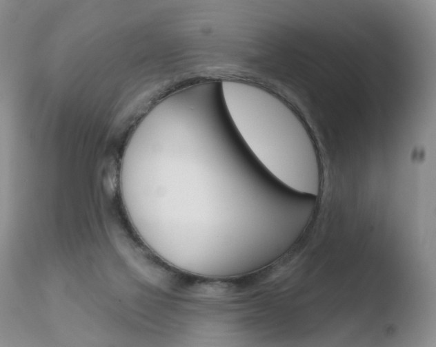 X0000110760069200906150940