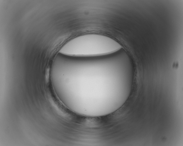 X0000110760070200906150940