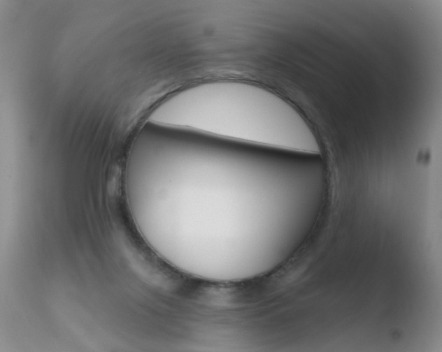 X0000110760071200906150940