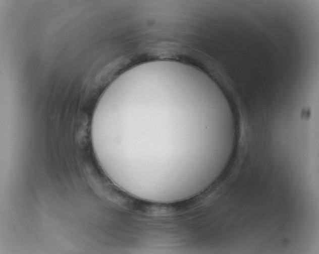 X0000110760073200906150940