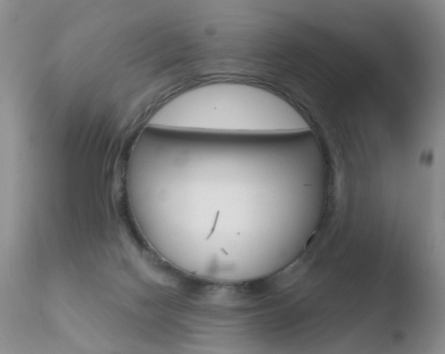 X0000110760074200906150940