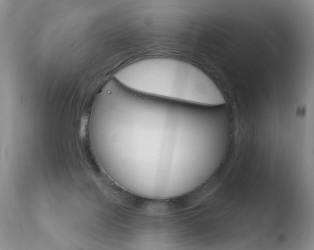 X0000110760075200906150940