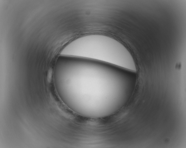 X0000110760076200906150940