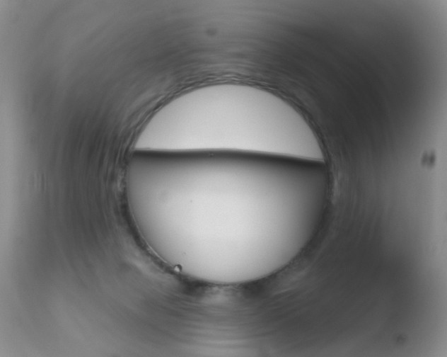 X0000110760077200906150940