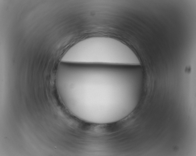 X0000110760078200906150940