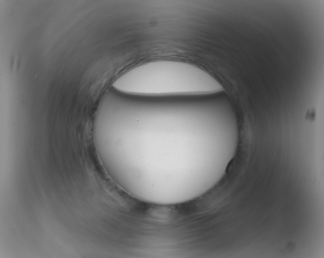 X0000110760079200906150940