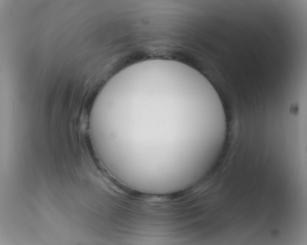 X0000110760081200906150940