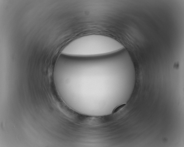 X0000110760082200906150940