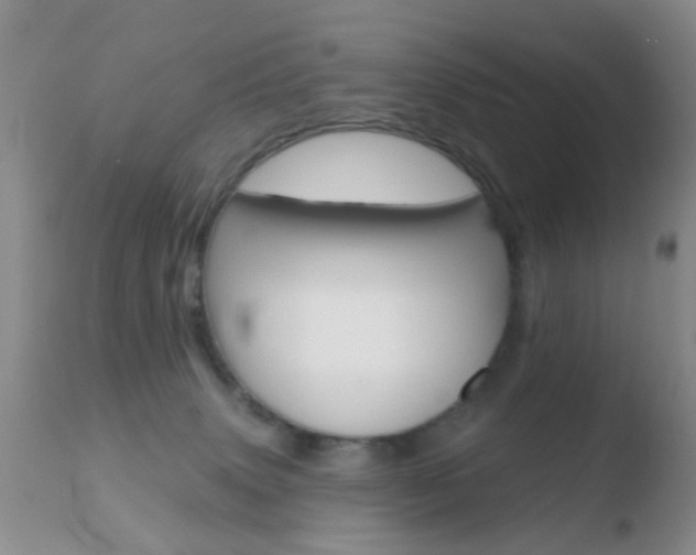 X0000110760083200906150940