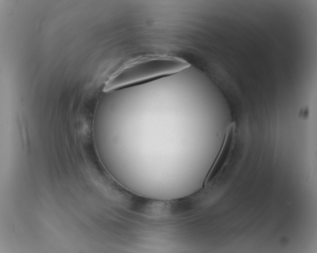 X0000110760084200906150940