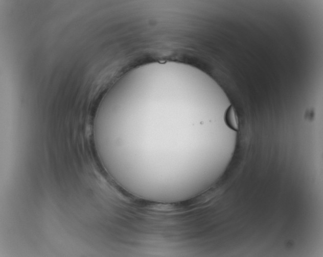 X0000110760085200906150940