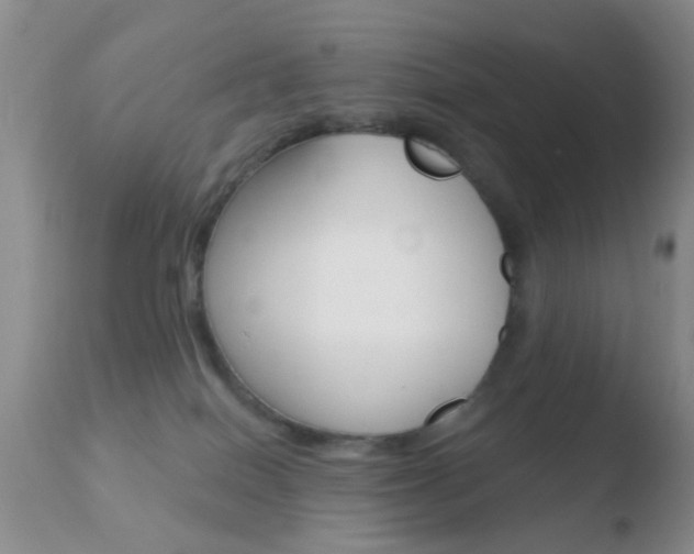 X0000110760086200906150940