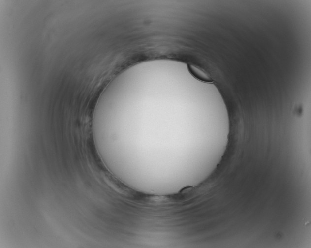 X0000110760087200906150940