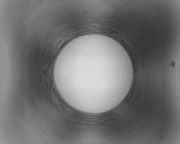 X0000110760088200906150940