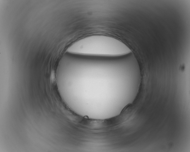 X0000110760089200906150940