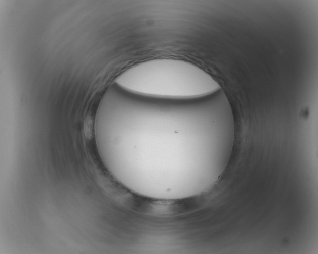 X0000110760090200906150940