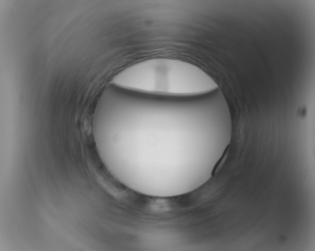X0000110760091200906150940