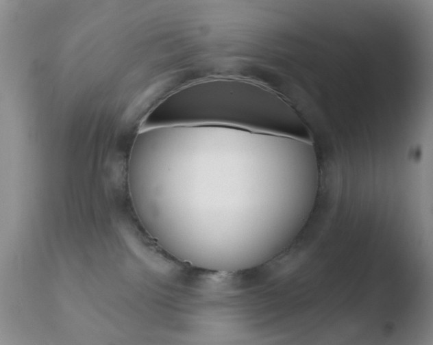 X0000110760092200906150940