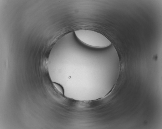 X0000110760094200906150940