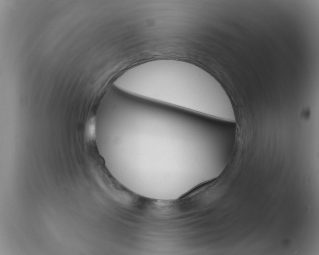 X0000110760095200906150940