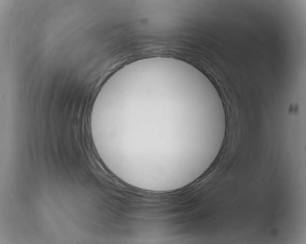 X0000110760096200906150940