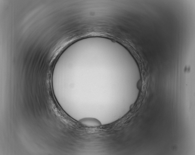 X0000110760098200906150939