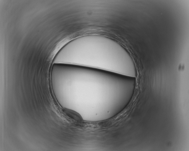 X0000110760099200906150939