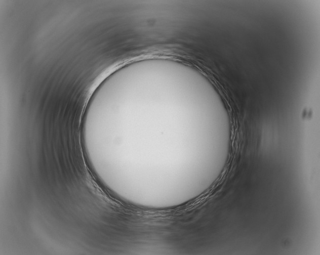 X0000110760100200906150939