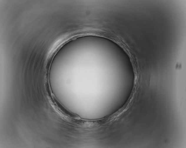 X0000110760101200906150939