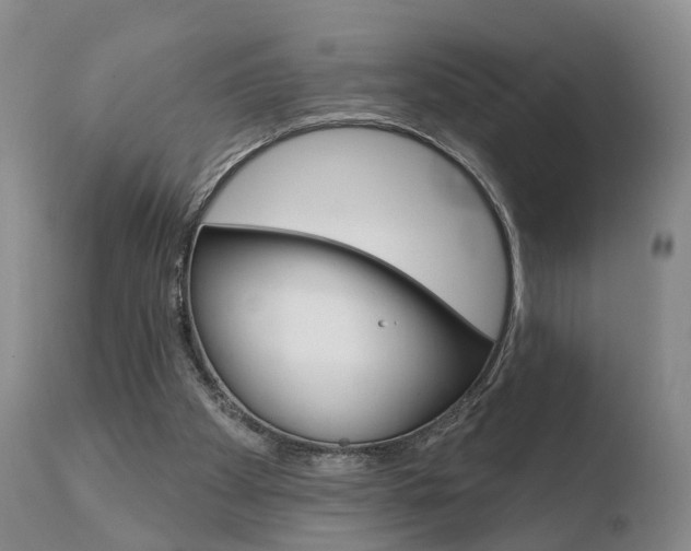 X0000110760105200906150939