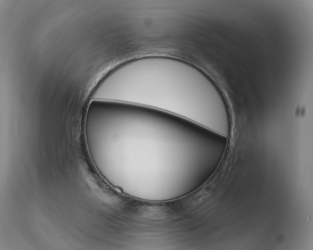 X0000110760107200906150939