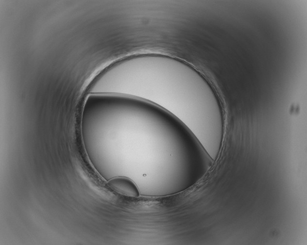 X0000110760108200906150939