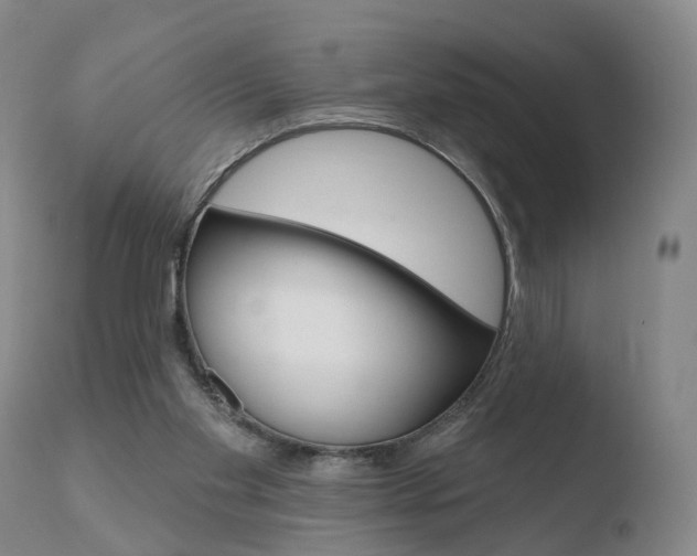 X0000110760109200906150939