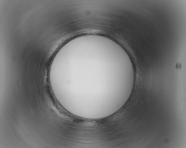 X0000110760110200906150939