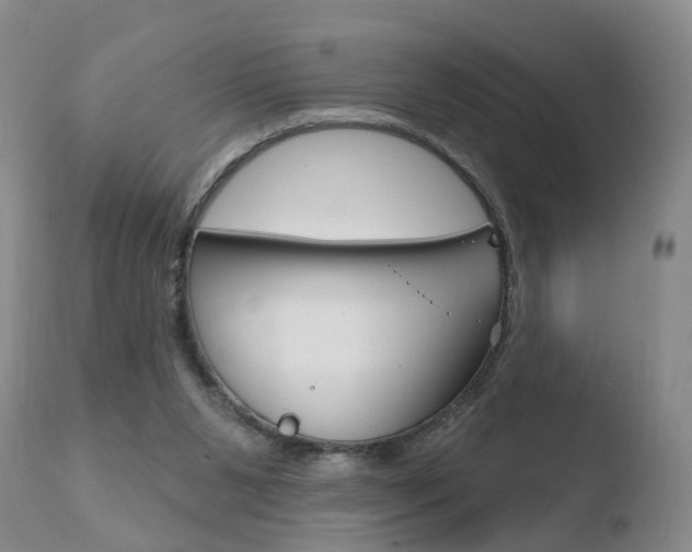 X0000110760111200906150939