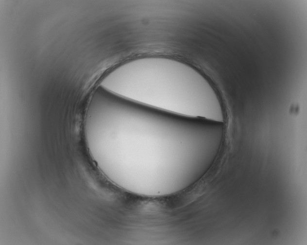 X0000110760115200906150939
