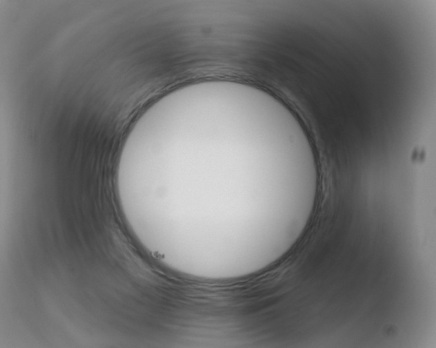 X0000110760117200906150939