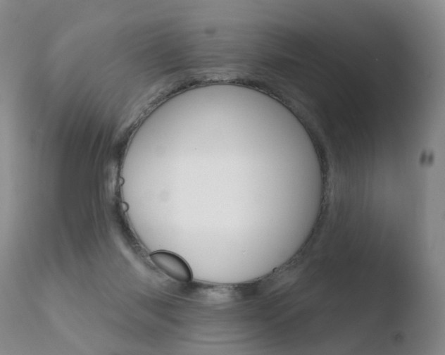 X0000110760118200906150939
