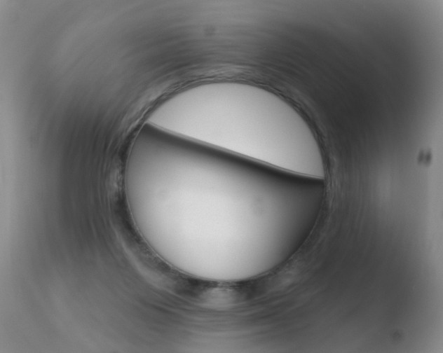 X0000110760119200906150939