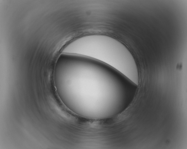 X0000110760120200906150939